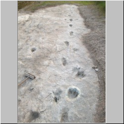 102_6704 (2013-08-11)mod.JPG